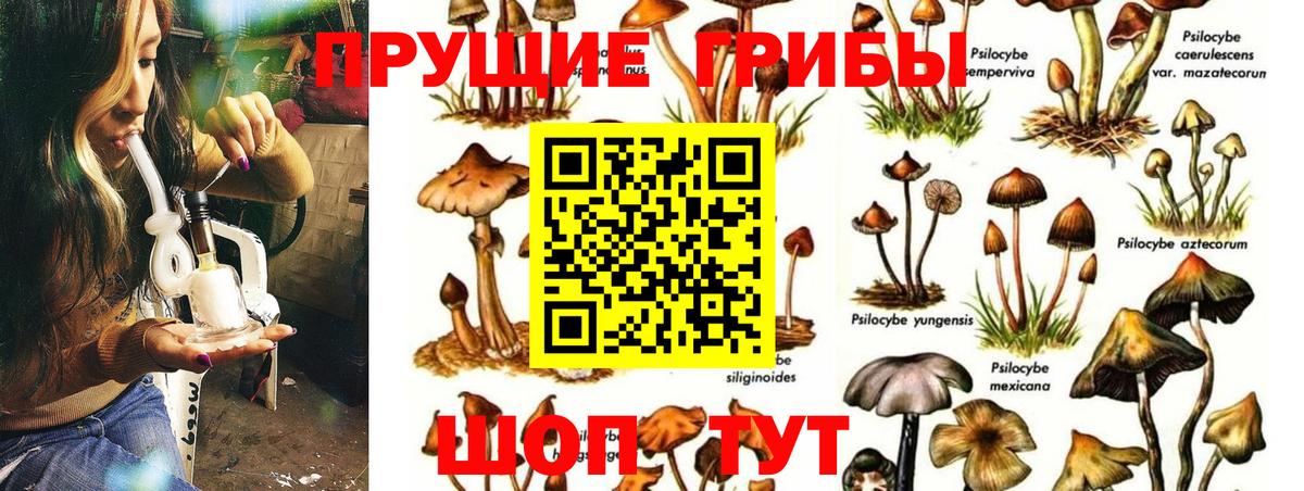 Псилоцибиновые грибы ЛСД  Вход с VPN  Псилоцибиновые грибы MAGIC MUSHROOMS  Свободный 