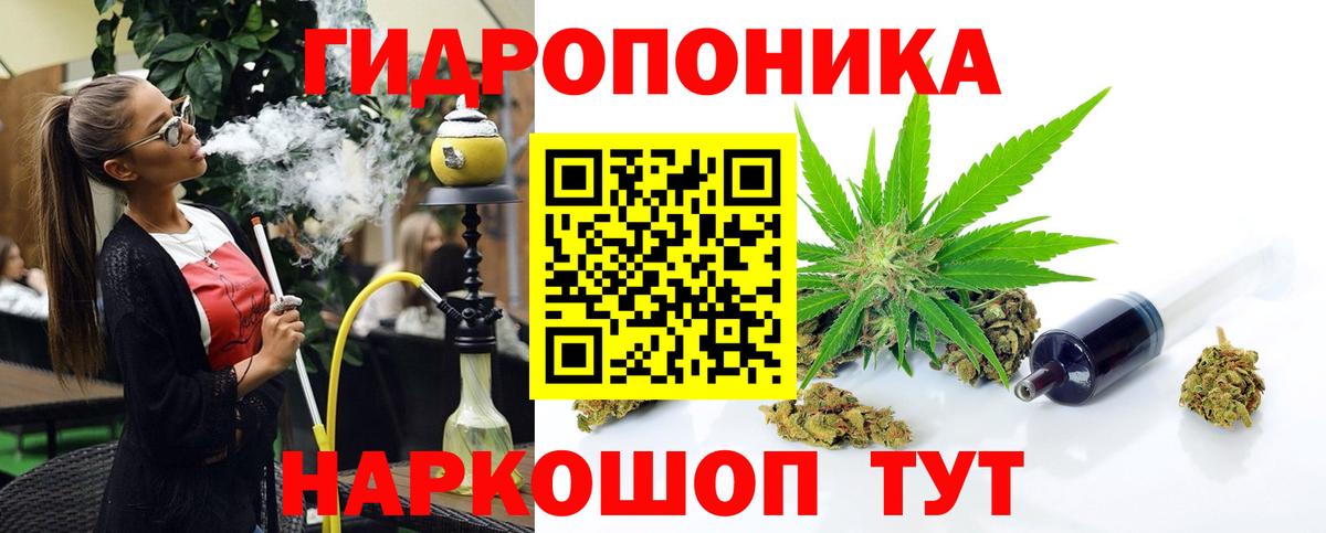 Конопля сатива Свободный